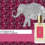 عطر ادکلن الفنت اند روزز ماریا کاندیدا جنتیله - Elephant & Roses Maria Candida Gentile - بررسی، قیمت و خرید