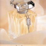 عطر ادکلن کارلا فراچی کارلا فراچی - Carla Fracci Carla Fracci - بررسی، قیمت و خرید