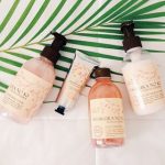 عطر ادکلن ساکورا نو کی امپوریو بادی استور - Sakura No Ki Emporio Body Store - بررسی، قیمت و خرید