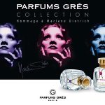 عطر ادکلن مای پشن اومژ آ مارلنه دیتریش گرس - My Passion Hommage a Marlene Dietrich Grès - بررسی، قیمت و خرید