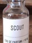 عطر ادکلن اسکوت وست ترد برند - Scout West Third Brand - بررسی، قیمت و خرید