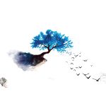 عطر ادکلن اووتوپیا آکوالییس - Utopia Aqualis - بررسی، قیمت و خرید