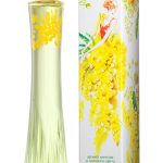عطر ادکلن مِچتا بروکارد - Mechta Brocard - بررسی، قیمت و خرید