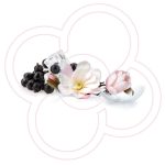 عطر ادکلن پرومیس می فلاور ماه بوسین - Promise Me Flower Mauboussin - بررسی، قیمت و خرید