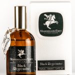 عطر ادکلن بلاک ریگرسیو ایل پروفومیره - Black Regressive Il Profumiere - بررسی، قیمت و خرید