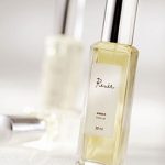 عطر ادکلن ماسک رنه - Musk Renee - بررسی، قیمت و خرید