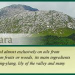 عطر ادکلن کانمارا فراگرنسز آو آیرلند - Connemara Fragrances of Ireland - بررسی، قیمت و خرید