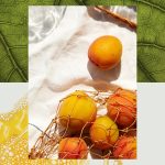 عطر ادکلن اووتوپیا آکوالییس - Utopia Aqualis - بررسی، قیمت و خرید