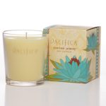 عطر ادکلن تونسی جاسمین پسیفیکا - Tunisian Jasmine Pacifica - بررسی، قیمت و خرید
