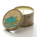 عطر ادکلن تونسی جاسمین پسیفیکا - Tunisian Jasmine Pacifica - بررسی، قیمت و خرید
