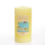 عطر ادکلن تونسی جاسمین پسیفیکا - Tunisian Jasmine Pacifica - بررسی، قیمت و خرید