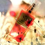 عطر ادکلن کالیفرنیا پاپی اتکینسونز - California Poppy Atkinsons - بررسی، قیمت و خرید