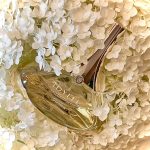 عطر ادکلن ایدیل ادو تویلت گرلن - Idylle Eau de toilette Guerlain - بررسی، قیمت و خرید