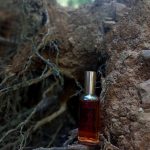 عطر ادکلن سیارا رولون - Ciara Revlon - بررسی، قیمت و خرید