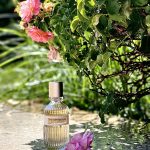 عطر ادکلن اودموزل دی ژیوانشی ژیوانشی - Eaudemoiselle de Givenchy Givenchy - بررسی، قیمت و خرید