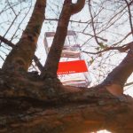 عطر ادکلن این رید آرماند باسی - In Red Armand Basi - بررسی، قیمت و خرید