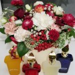 عطر ادکلن دولچه آمالفی زرژاف - Dolce Amalfi Xerjoff - بررسی، قیمت و خرید