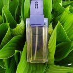 عطر ادکلن سانگ الفرد سونگ - Sung Alfred Sung - بررسی، قیمت و خرید