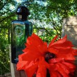 عطر ادکلن اُ دو نرسیس بلو ارمس - Eau de Narcisse Bleu Hermès - بررسی، قیمت و خرید