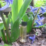 عطر ادکلن کالرز دی بنتون بنتون - Colors de Benetton (Original) Benetton - بررسی، قیمت و خرید