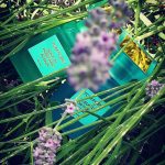عطر ادکلن نرولی پورتوفینو آکوا تام فورد - Neroli Portofino Acqua Tom Ford - بررسی، قیمت و خرید