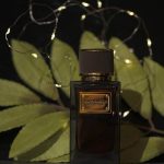 عطر ادکلن ولوت دیزرت عود دولچه گابانا - Velvet Desert Oud Dolce&Gabbana - بررسی، قیمت و خرید