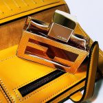 عطر ادکلن فن دی فندی لدر اسنس فندی - Fan di Fendi Leather Essence Fendi - بررسی، قیمت و خرید