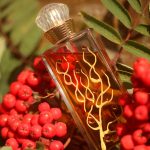 عطر ادکلن له کواتغ سیزون: اُتمن م. میکالف - Les 4 Saisons: Automne M. Micallef - بررسی، قیمت و خرید
