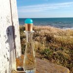 عطر ادکلن لورا لورا بیاجوتی - Laura Laura Biagiotti - بررسی، قیمت و خرید