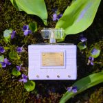 عطر ادکلن کوتور ویولت ورساچه - Couture Violet Versace - بررسی، قیمت و خرید