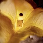 عطر ادکلن نویت د سلوفان سرژ لوتن - Nuit de Cellophane Serge Lutens - بررسی، قیمت و خرید