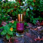 عطر ادکلن وازامبا پرفیوم د امپایر - Wazamba Parfum d'Empire - بررسی، قیمت و خرید