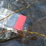 عطر ادکلن این رید آرماند باسی - In Red Armand Basi - بررسی، قیمت و خرید