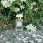 عطر ادکلن ایکَت جَسمین آرین - Ikat Jasmine Aerin - بررسی، قیمت و خرید