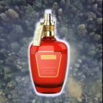 عطر ادکلن سیدروود د مرچنت آو ونیس - Cedarwood The Merchant of Venice - بررسی، قیمت و خرید