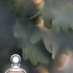عطر ادکلن چن سرژ لوتنز - Chene Serge Lutens - بررسی، قیمت و خرید