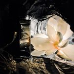 عطر ادکلن آمبر نویر بریکورت - Ambre Noir Brecourt - بررسی، قیمت و خرید
