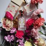 عطر ادکلن اُیِه لویی پانزدهم اوریزا ال لگراند - Oeillet Louis XV Oriza L. Legrand - بررسی، قیمت و خرید
