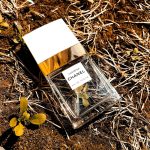 عطر ادکلن گاردنیا شنل - Gardénia Chanel - بررسی، قیمت و خرید
