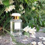 عطر ادکلن ایکَت جَسمین آرین - Ikat Jasmine Aerin - بررسی، قیمت و خرید