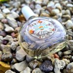 عطر ادکلن وایلد دیزی پوکروفکا تریدینگ هاوس - Wild Daisy Pokrovka Trading House - بررسی، قیمت و خرید
