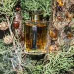 عطر ادکلن مون نومرو ده لارتیزان پارفومر - Mon Numero 10 L'Artisan Parfumeur - بررسی، قیمت و خرید