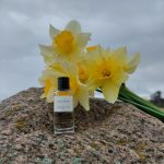 عطر ادکلن گری دیور دیور - Gris Dior Dior - بررسی، قیمت و خرید