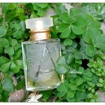 عطر ادکلن آزهار آدولفو دومینگز - Azahar Adolfo Dominguez - بررسی، قیمت و خرید