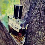 عطر ادکلن شمبروار اُلفکتیو استودیو - Chambre Noire Olfactive Studio - بررسی، قیمت و خرید