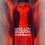 عطر ادکلن کام دس گارسونز سری ۲ رِد: سِکویا کوم د گارسون - Comme des Garcons Series 2 Red: Sequoia Comme des Garcons - بررسی، قیمت و خرید