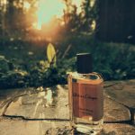 عطر ادکلن گرند نرولی آتلیه کلن - Grand Neroli Atelier Cologne - بررسی، قیمت و خرید