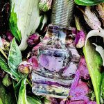 عطر ادکلن پاول اسمیت رز پاول اسمیت - Paul Smith Rose Paul Smith - بررسی، قیمت و خرید