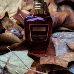 عطر ادکلن سیدروود د مرچنت آو ونیس - Cedarwood The Merchant of Venice - بررسی، قیمت و خرید