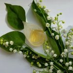 عطر ادکلن پرفیوم دته کنزو - Parfum d'Ete 1992 Kenzo - بررسی، قیمت و خرید